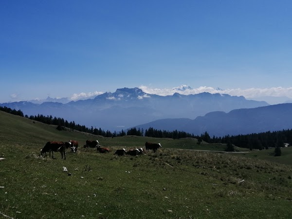 Semnoz 4