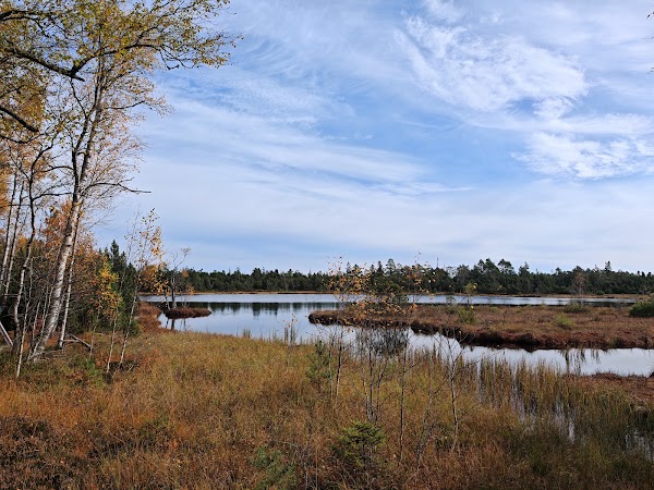 Natur- und Waldschutzgebiet Kaltenbronn 1