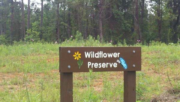 Della's Wildflower Meadow 1
