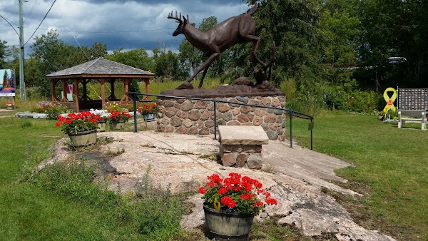 Buckhorn 4