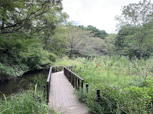 Institute for Nature Study, National Museum of Nature and Science 2