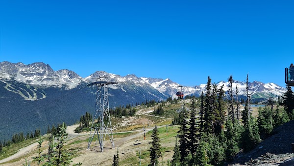 Whistler Mountain 5
