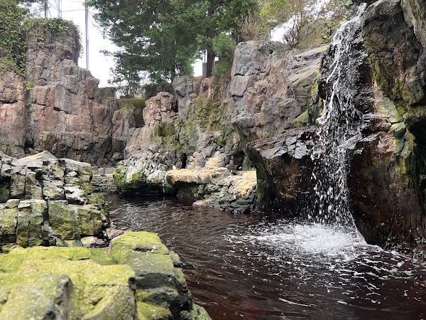 Oceanário de Lisboa 4