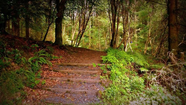 Slieve Bloom Mountains 1