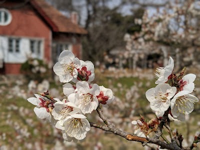 Qingdao Zhongshan Park