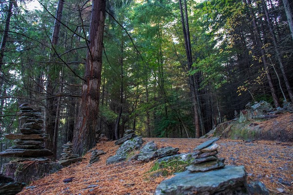 Queenstown Hill Walking Track 3