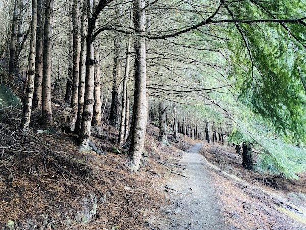 Queenstown Hill Walking Track 2