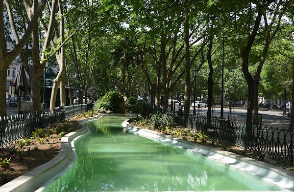 Avenida da Liberdade 3