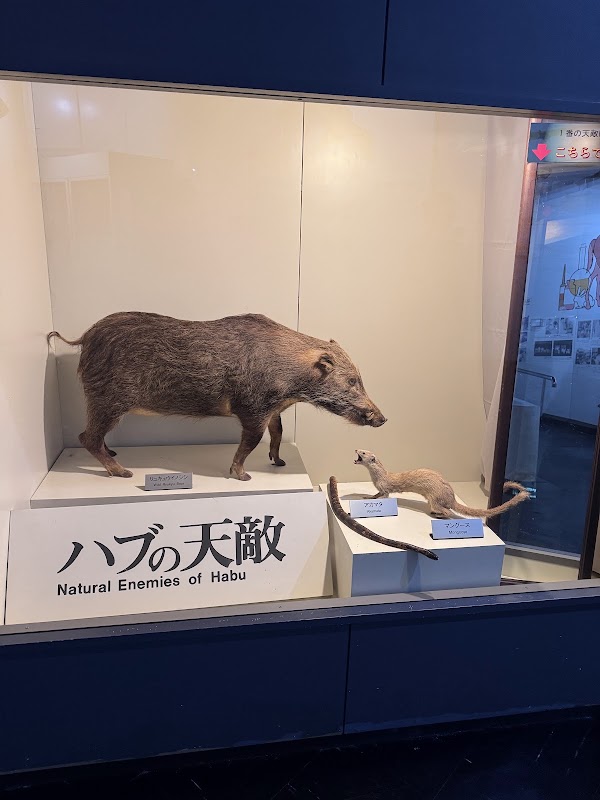 Habu Museum Park 3