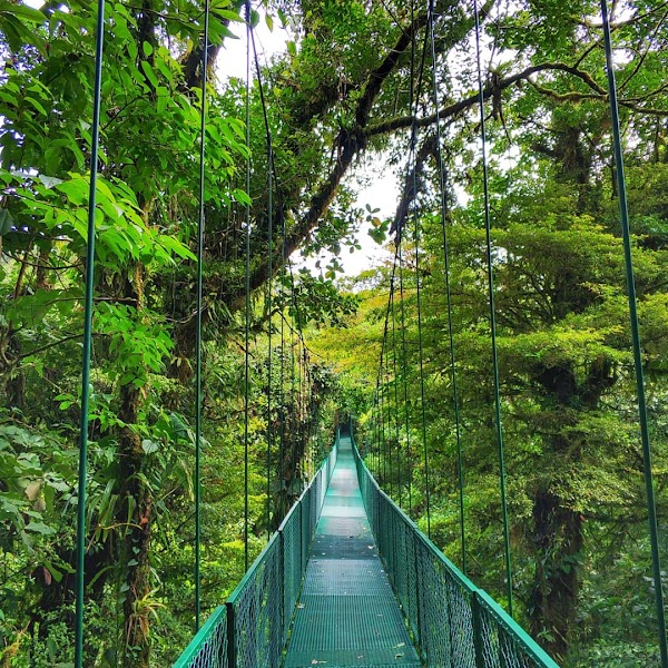 Selvatura Adventure Park 5