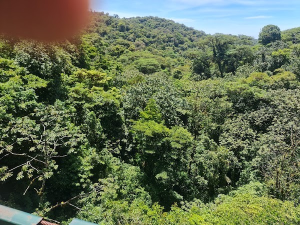 Selvatura Adventure Park 4