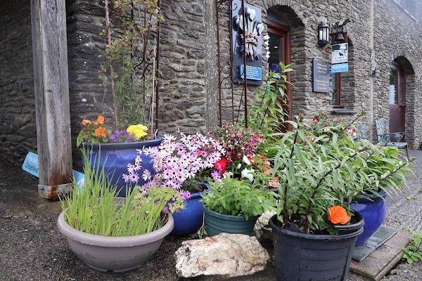 Caws Cenarth Cheese Shop 3