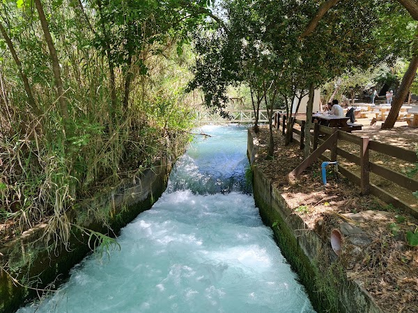 Tel Dan Nature Reserve 1