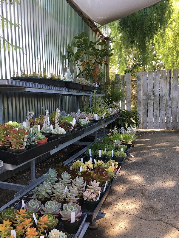Poly Plant Shop