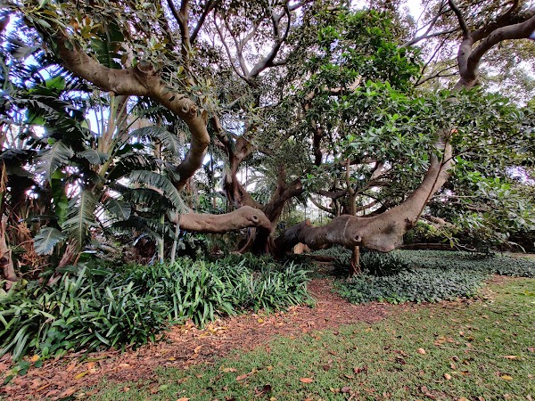 Camp Cove Reserve 5