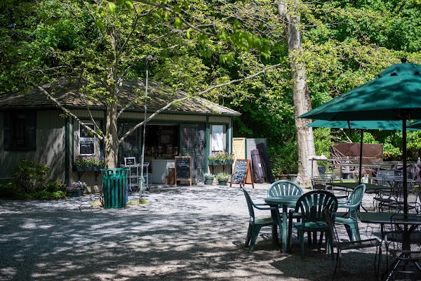 Café in the Woods 1