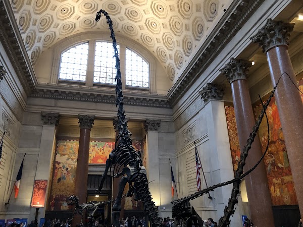 American Museum of Natural History 1