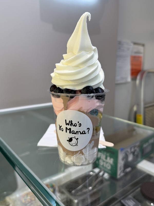 Yo Mama Frozen Yogurt (Central) 2