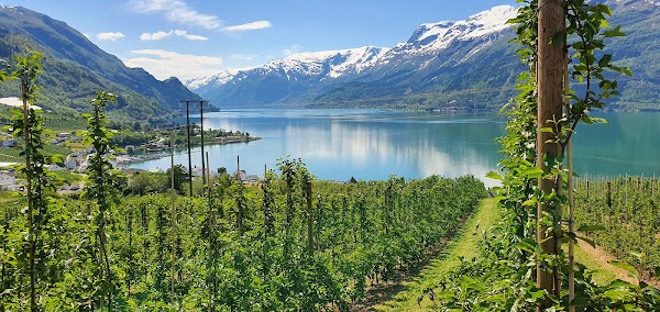 Hardanger 3