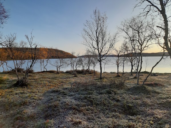 Peltojärvi 1