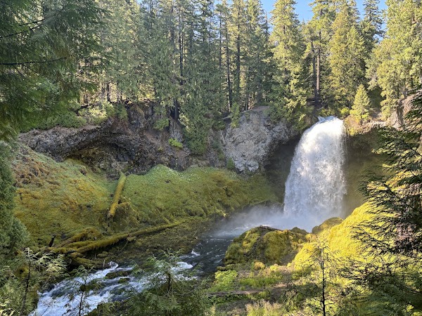 Koosah and Sahalie Falls Trail