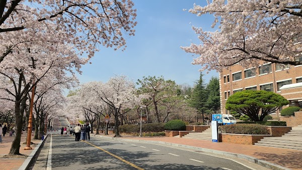 Keimyung University 4