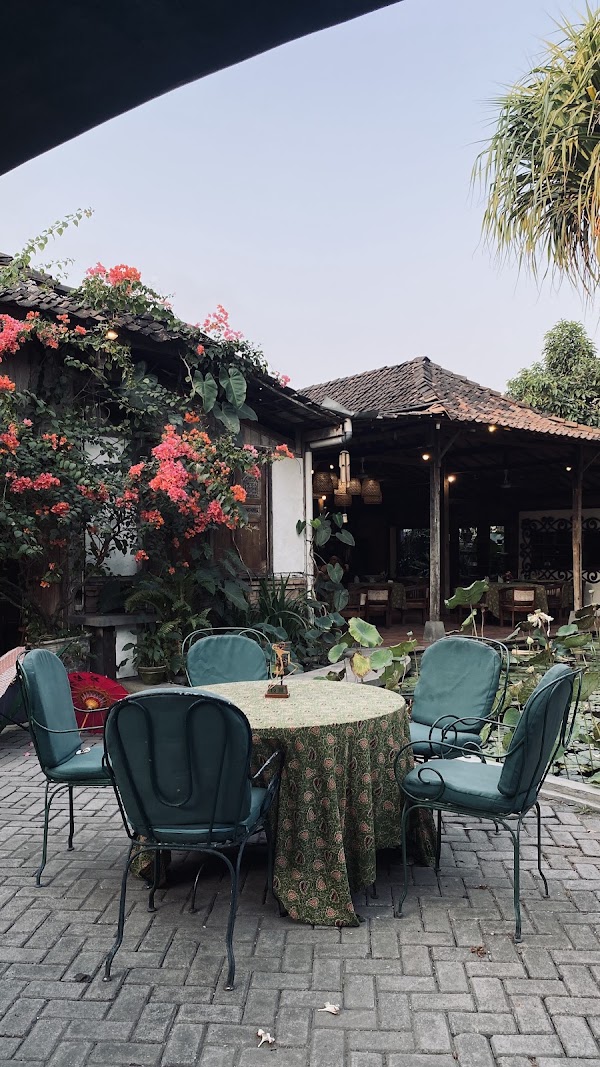 Lotus Café