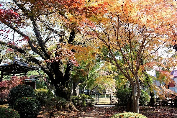 Gotokuji 2