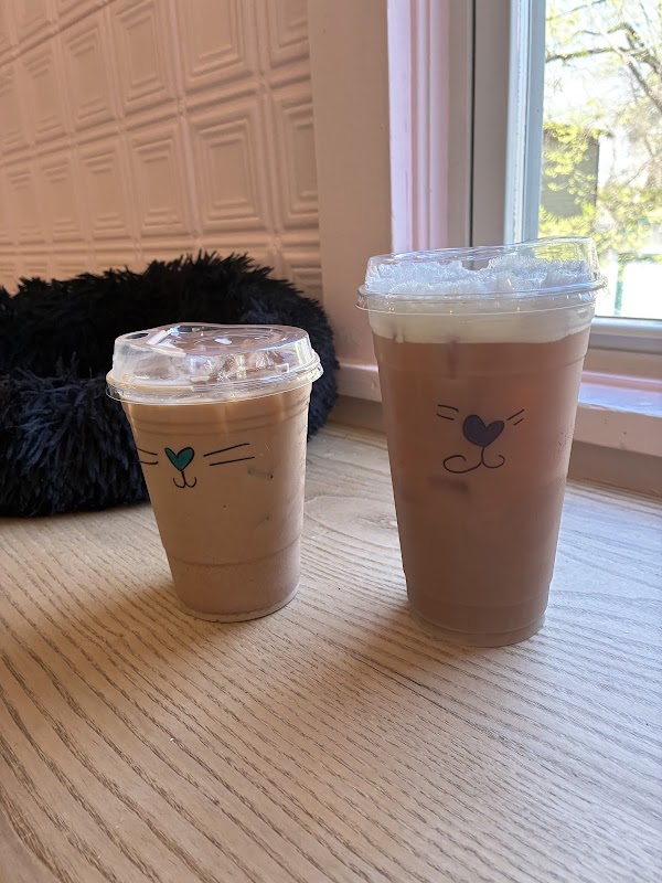 Beans Cat Cafe