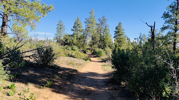 East Mesa Trailhead to Observation Point 5