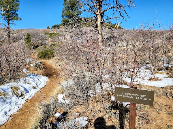 East Mesa Trailhead to Observation Point 4
