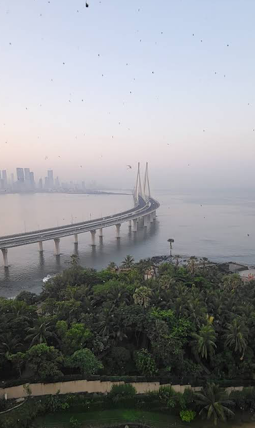 Bandra Worli Sealink View Point 4