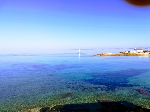 Beach of Purity 3