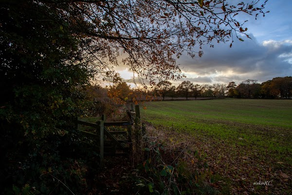 Trent Park 1
