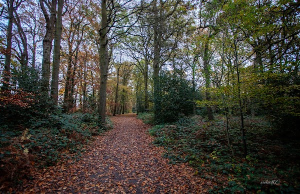 Trent Park 4
