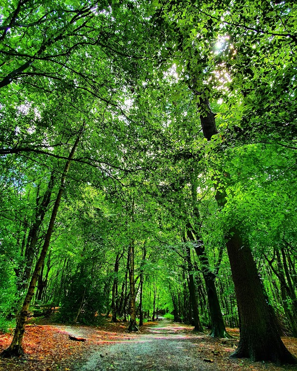 Trent Park 2