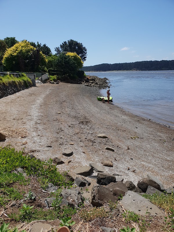 Port Waikato 4
