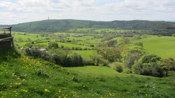 Macclesfield Forest