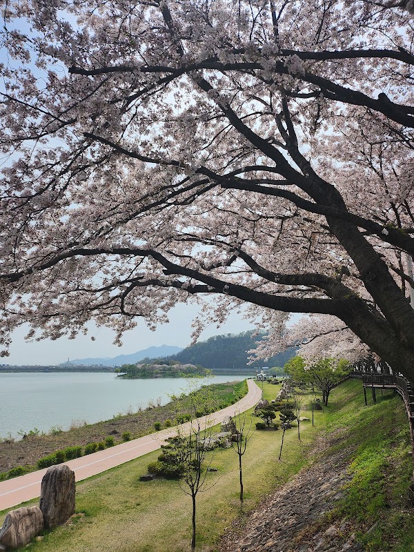 밀양삼문수변공원 5