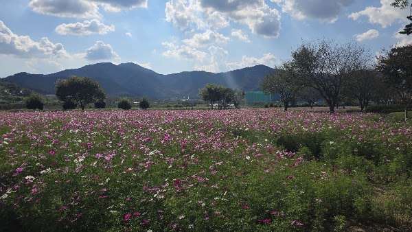 밀양삼문수변공원 4