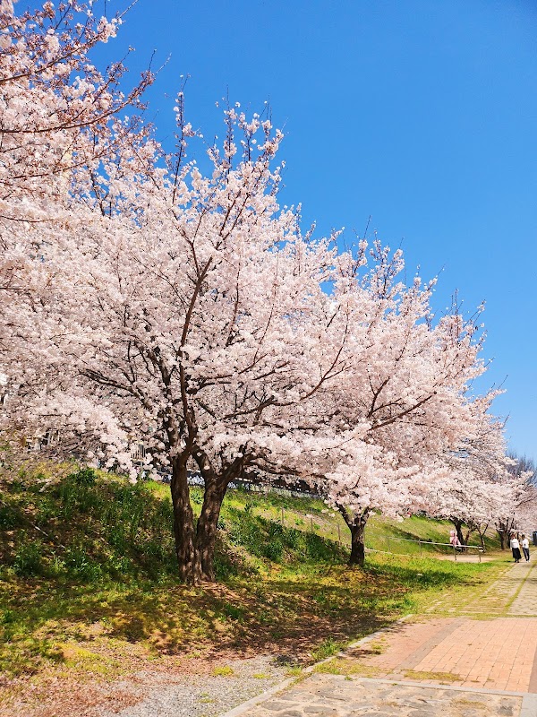 밀양삼문수변공원 3