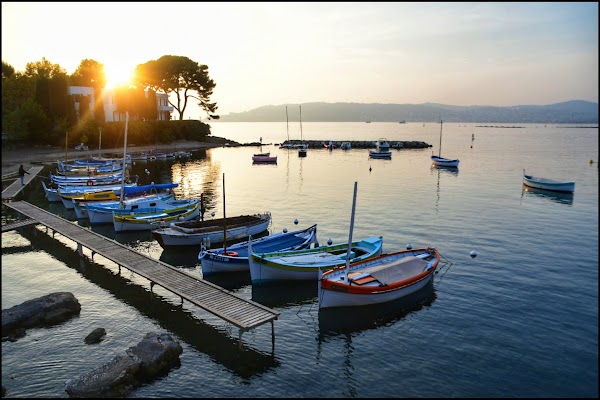 Port de l'Olivette 2