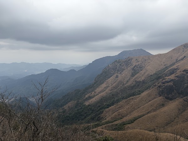 China 6