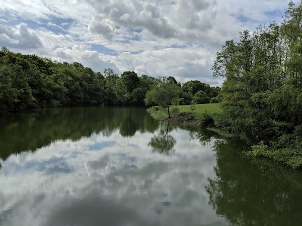 Ardingly Reservoir 4