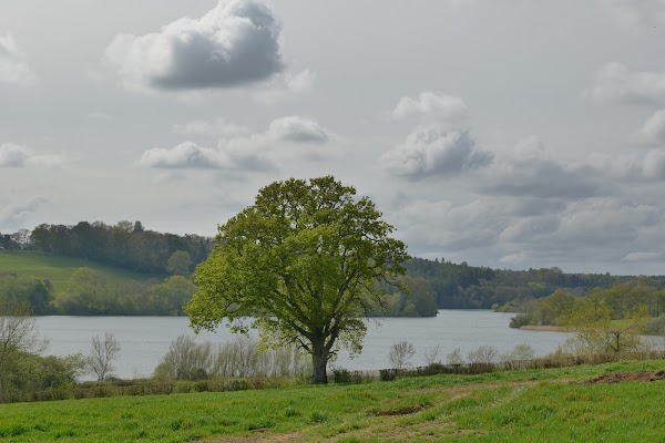 Ardingly Reservoir 3