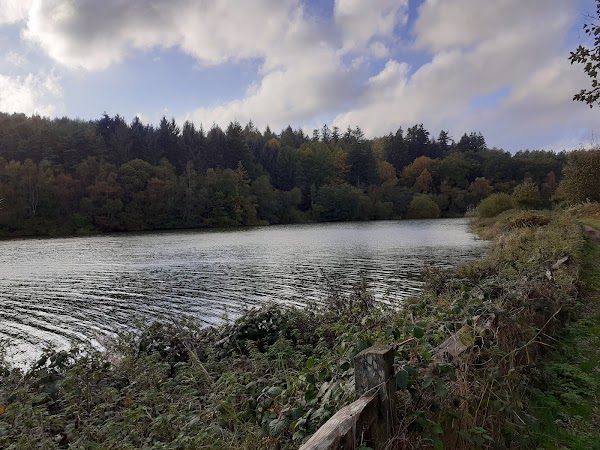 Ardingly Reservoir 2