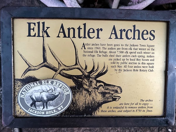 Jackson Hole’s Elk Antler Arch 5