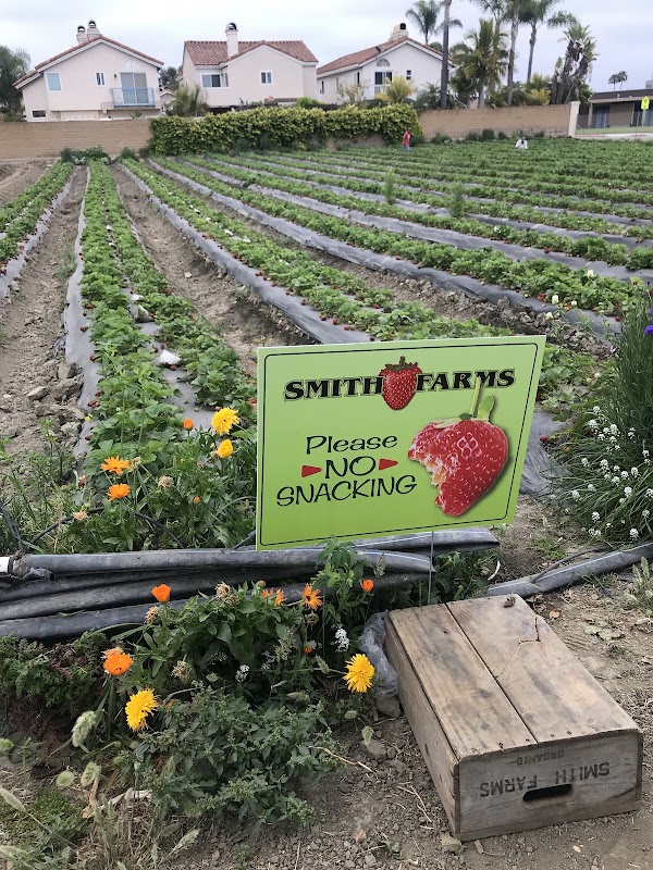 Smith Farms
