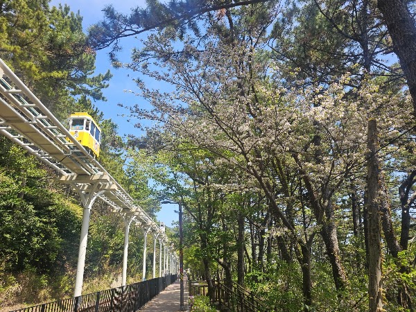 Busan Green Railway 5