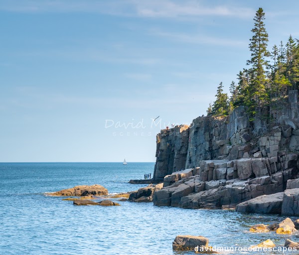 Otter Cliff